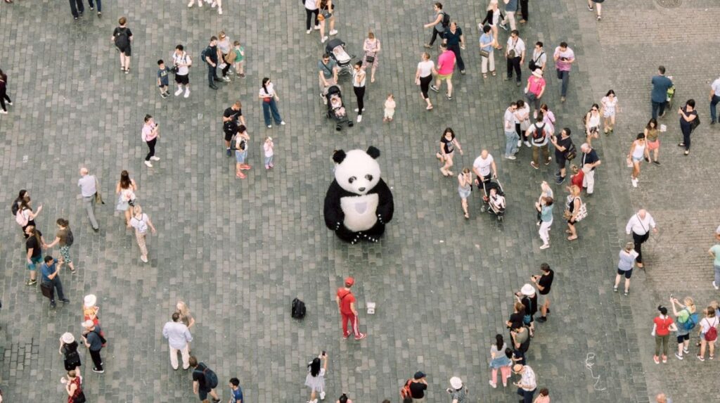 Shaping the Fabric of Society