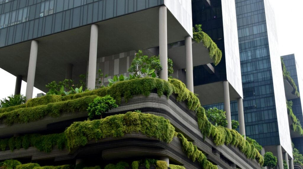 Sustainability and the Public Good