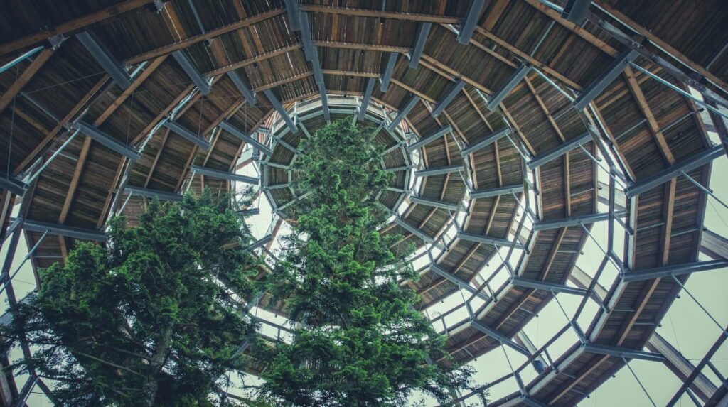 Universal Design as a Framework